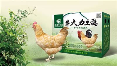 7799天天看影视（sēn）牛大（dà）力土雞