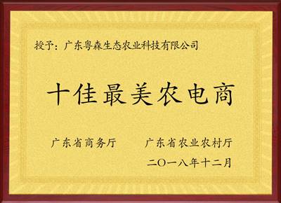 十佳最（zuì）美農電商