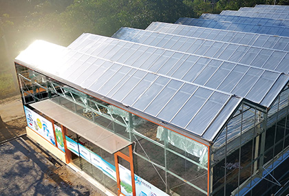 智能（néng）練苗溫室